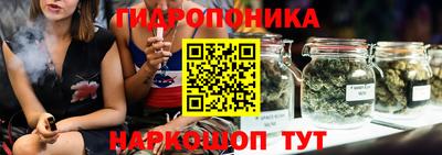хмурый Обь