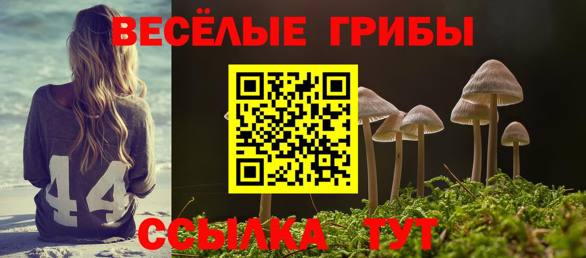 Галлюциногенные грибы Cubensis  закладка  Тамбов  Вход с VPN 