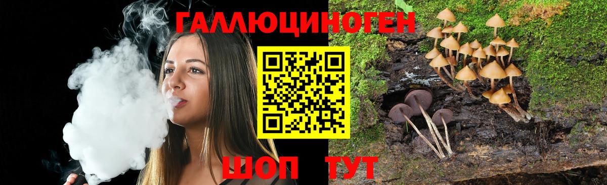 Галлюциногенные грибы прущие грибы Тамбов